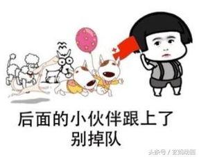 吃瓜娱乐大八卦,揭秘吃瓜群众的狂欢盛宴